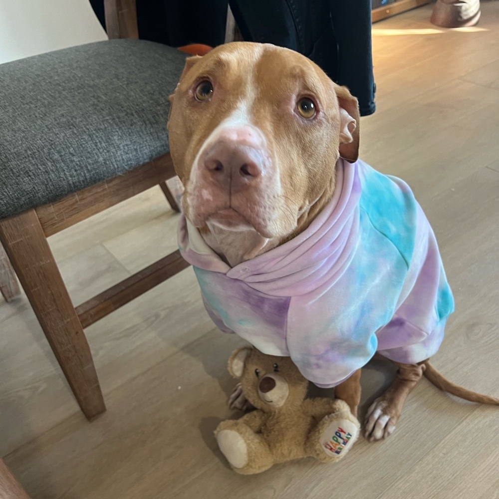 Meet your Posher, Taylor